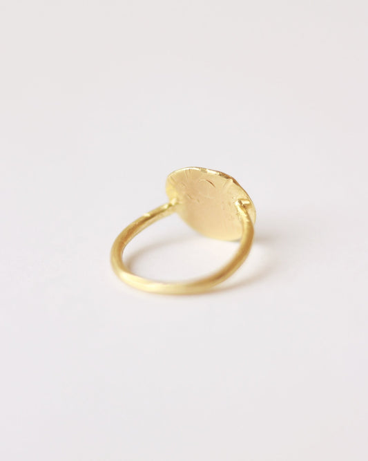 Anillo Scriptus