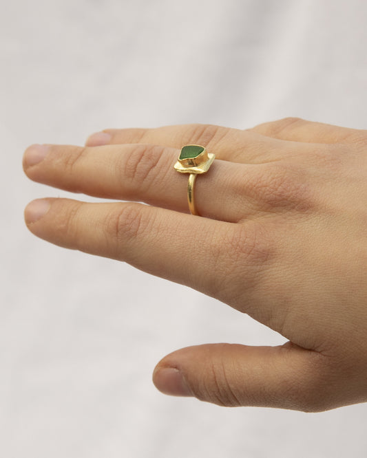 Anillo Adaleda