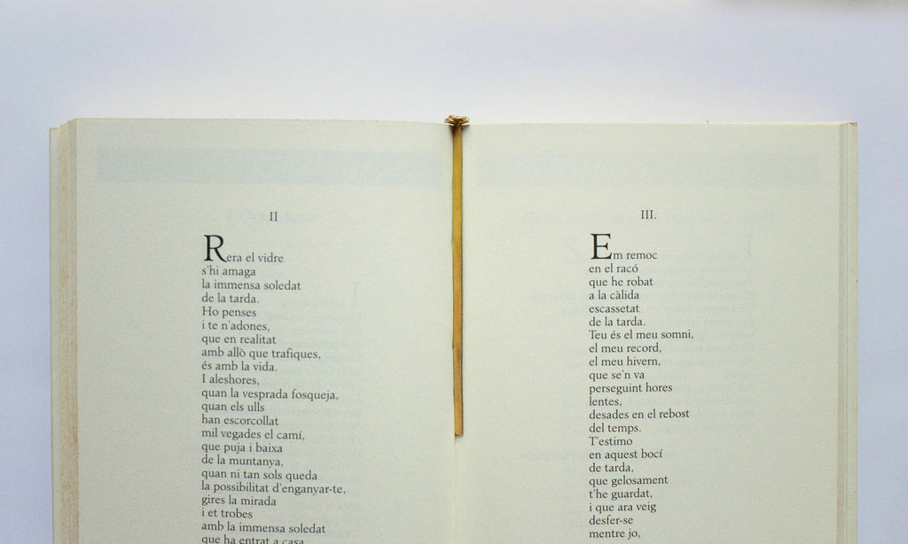 Sant Jordi Bookmark