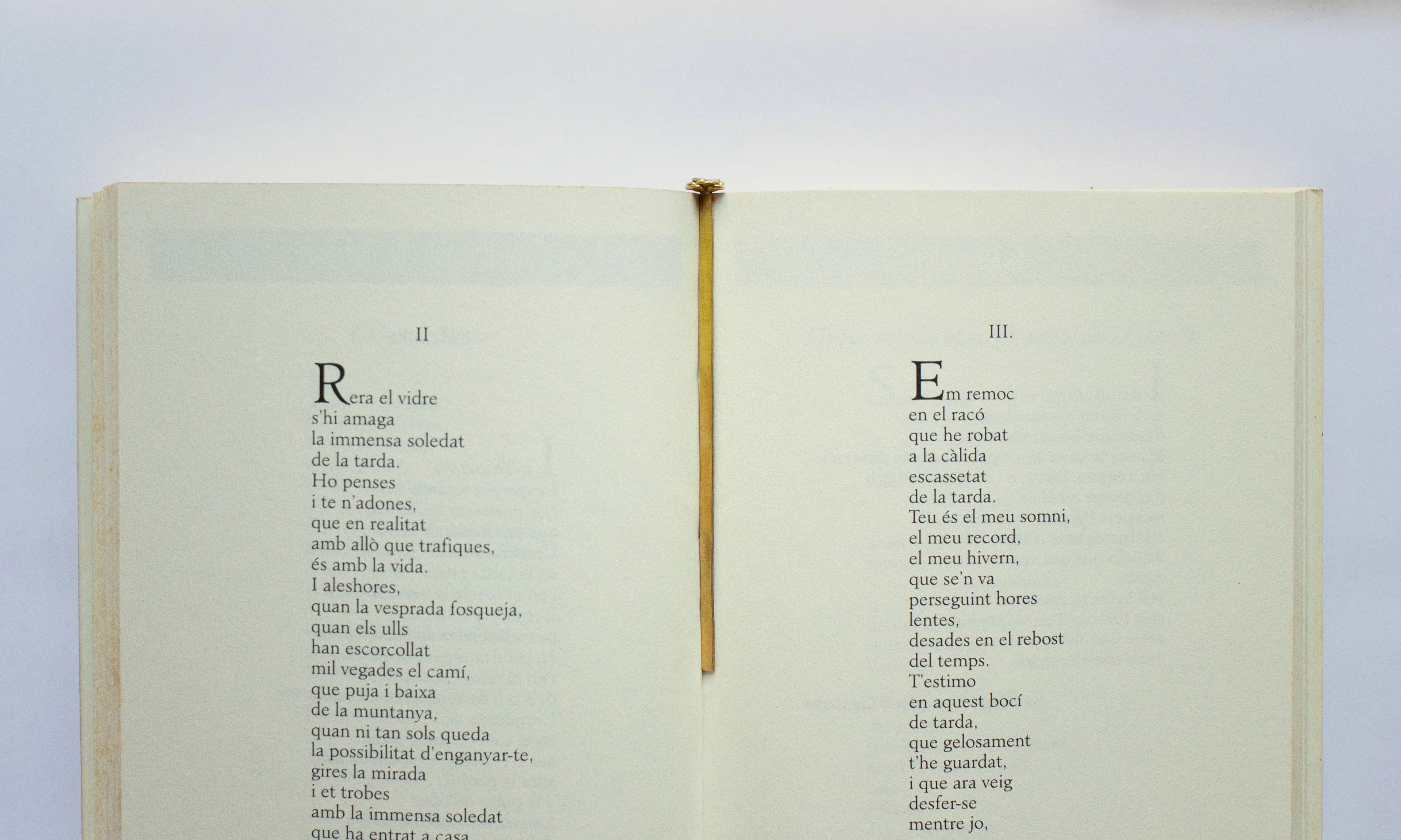 Sant Jordi Bookmark