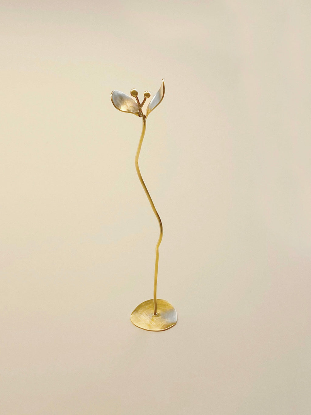 Perennial flower